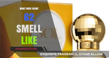 Unveiling the Essence: A Deep Dive into Scent 62's Aromatic Profile