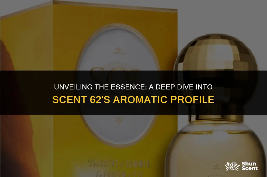 what does scent 62 smell like