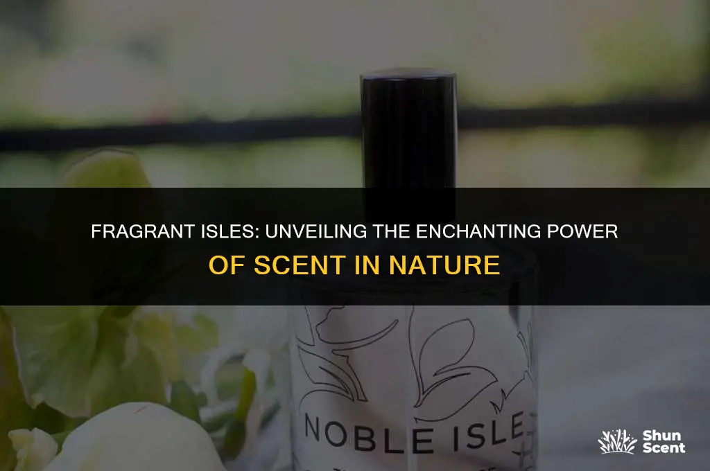 what does scent do in the isle