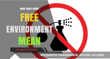 Understanding Scent-Free Environments: A Guide to Fragrance-Free Spaces