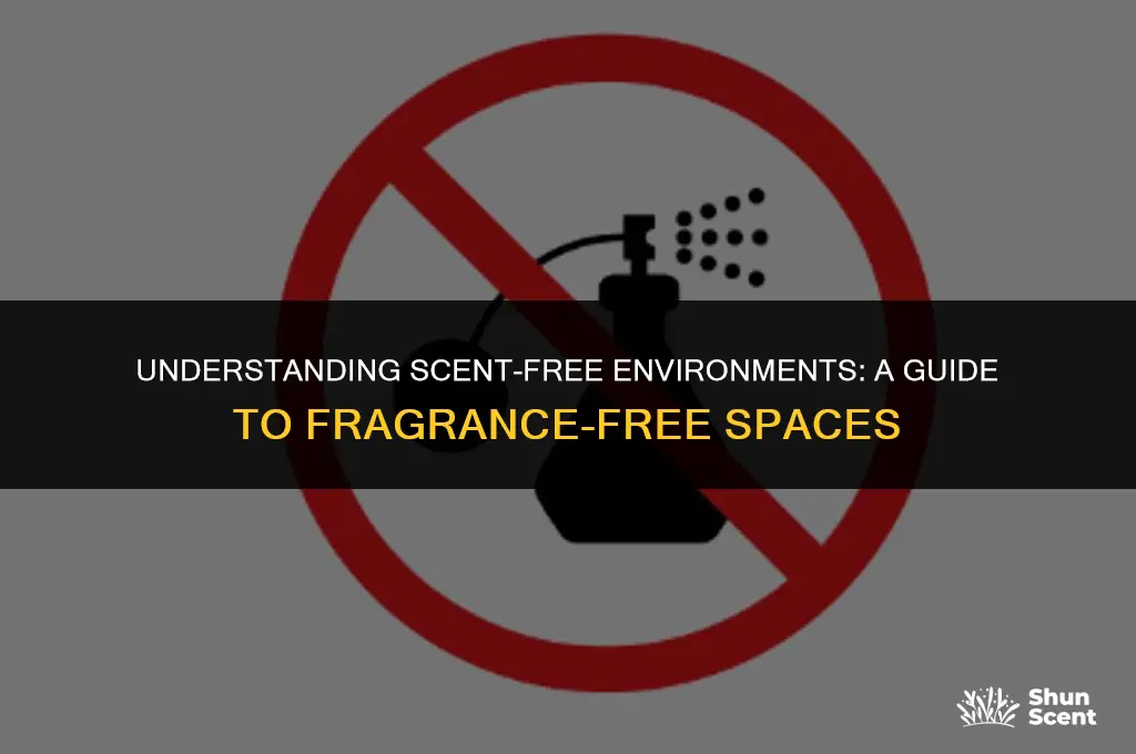 what does scent free environment mean