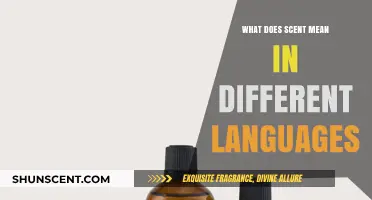 Exploring the Multilingual Essence of Scent: A Fragrant Journey