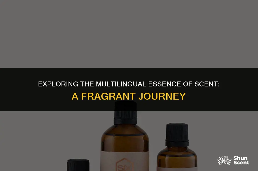 what does scent mean in different languages
