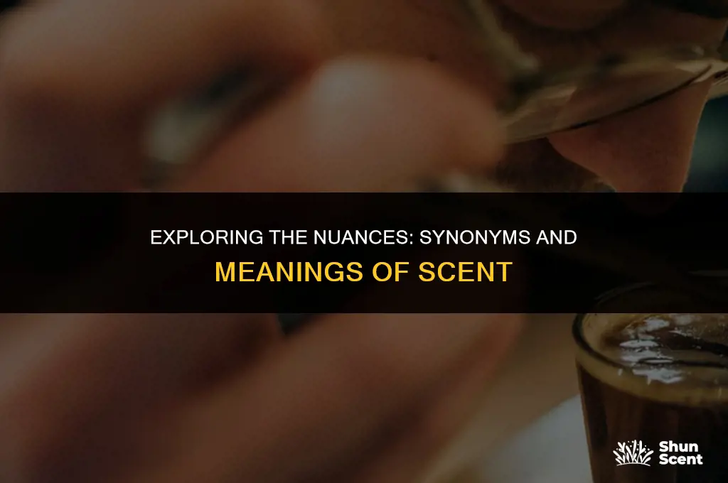 what does scent mean synonym