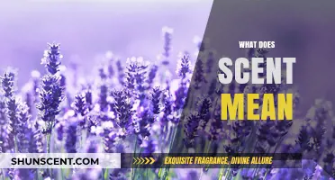 Unveiling the Power of Scent: Meaning, Impact, and Significance Explained
