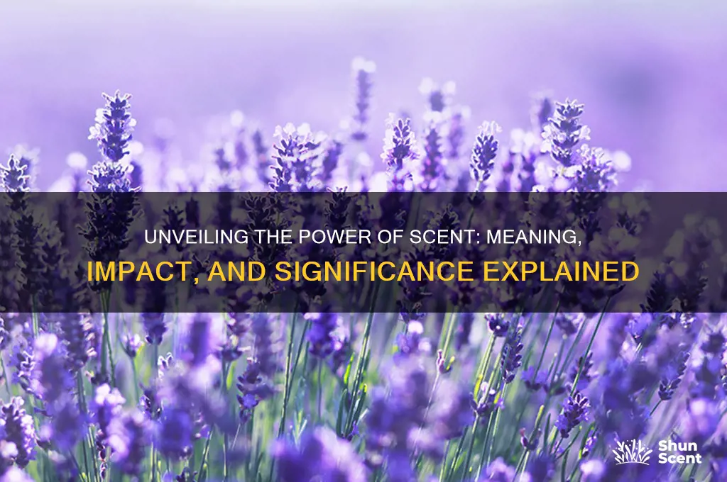 what does scent mean