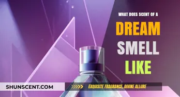 Exploring the Elusive Aroma of Dreams: A Fragrant Journey