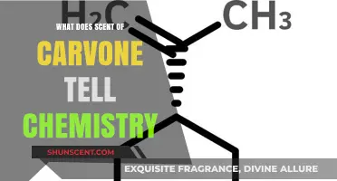 Unveiling the Chemistry Behind Carvone's Distinctive Scent