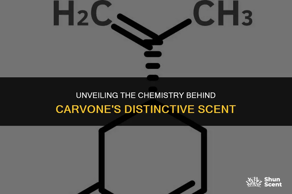 what does scent of carvone tell chemistry