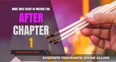 Incense's Lingering Scent: Chapter 1's Foreshadowing and Mystery
