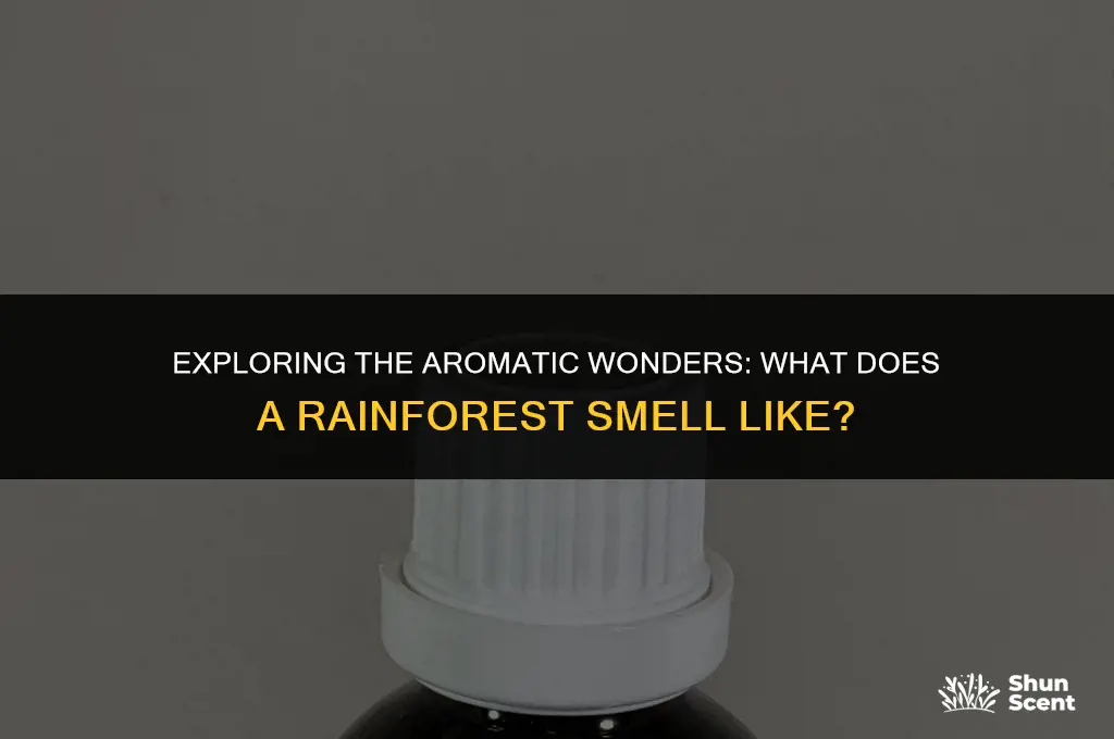 what does scent rainforest smell like