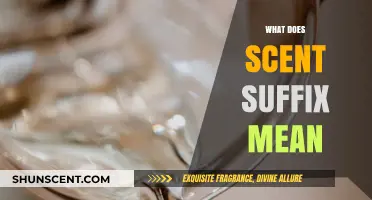 Decoding Scents: Understanding the Meaning Behind Suffixes