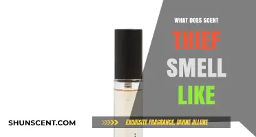 Unveiling the Enigmatic Aroma: What Does Scent Thief Smell Like?