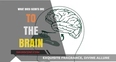 Unlocking the Power of Scents: How Aromas Influence Our Minds
