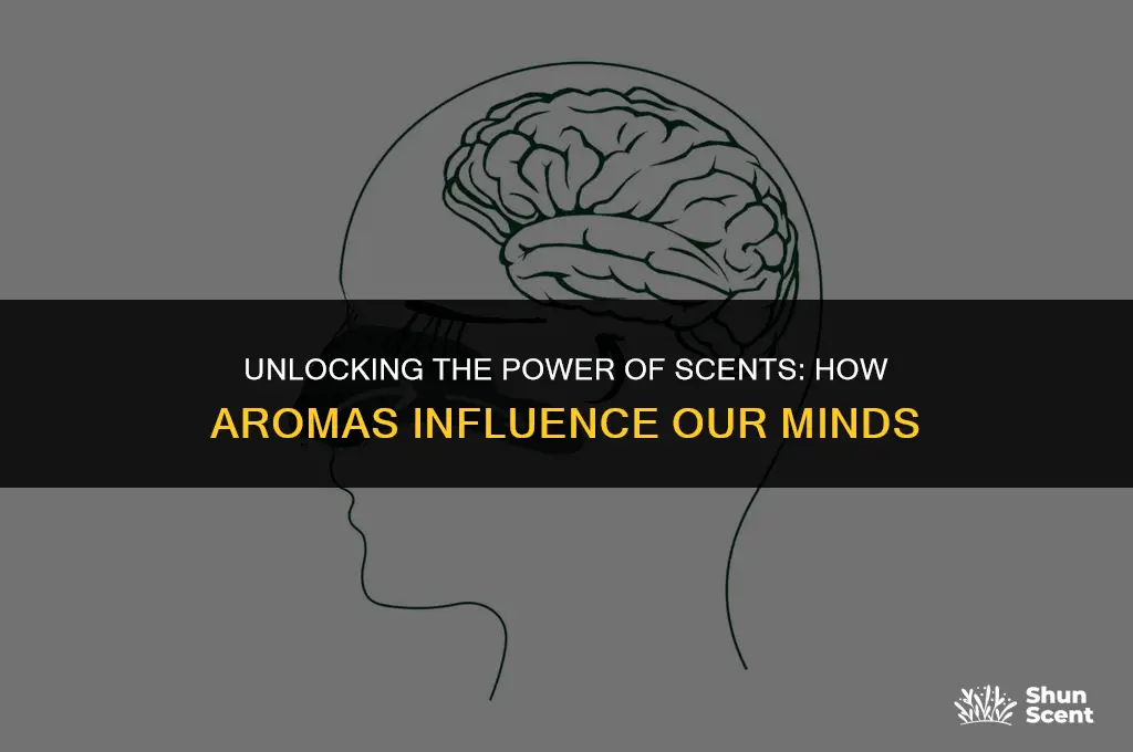 what does scents doe to the brain