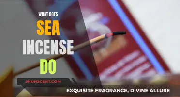 The Magic of Sea Incense: Enhancing Your Mind and Space