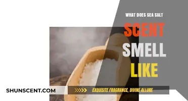 Unveiling the Essence: What Does Sea Salt Scent Smell Like?