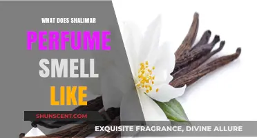 The Sensual Scent of Shalimar: A Perfume Review