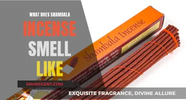 The Mystical Scent of Shambala Incense: An Exploration