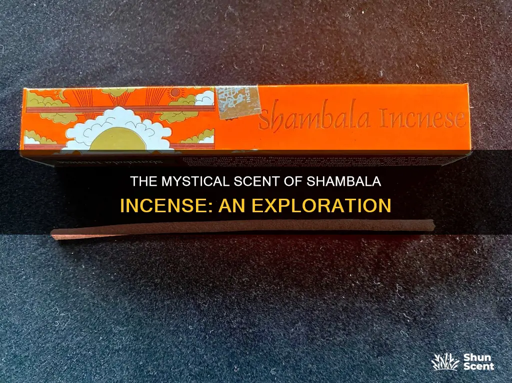 what does shambala incense smell like