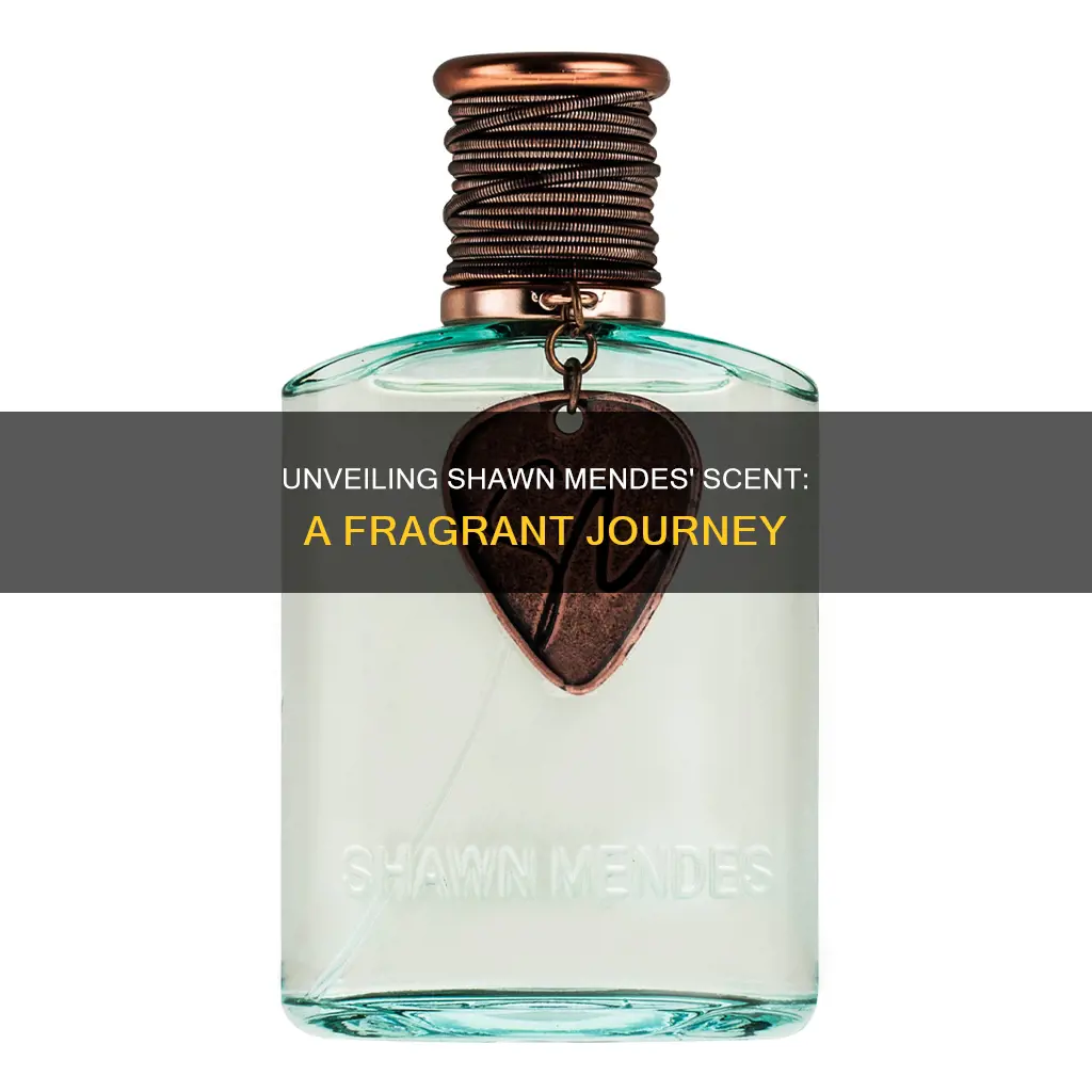 what does shawn mendes fragrance smell like