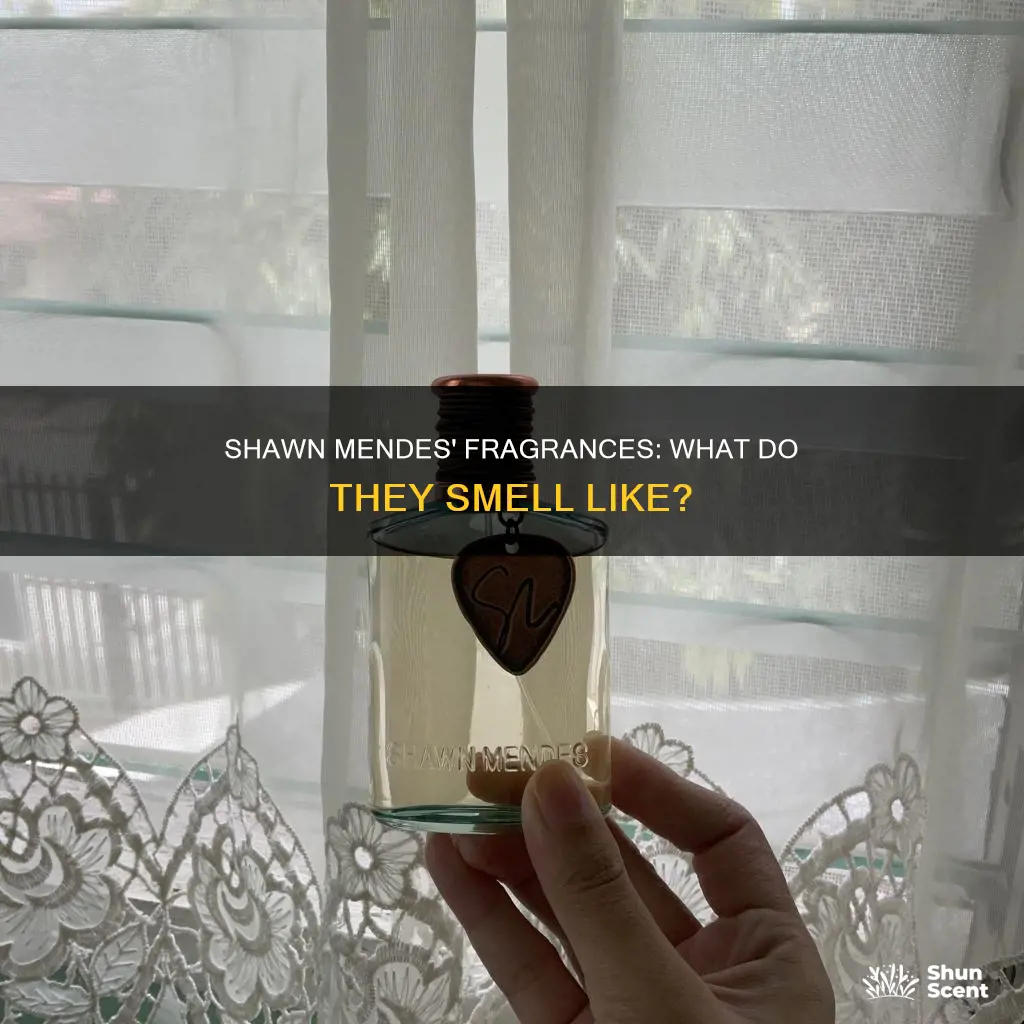 what does shawn mendes perfume smell like