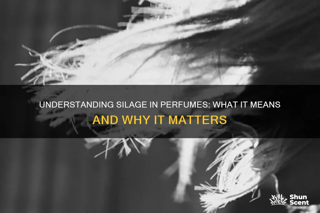 what does silage in perfume mean
