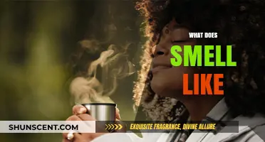 Exploring the Intriguing World of Scents: What Does Smell Like?
