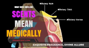Unraveling the Mysteries: What Your Sense of Smell Reveals About Your Health