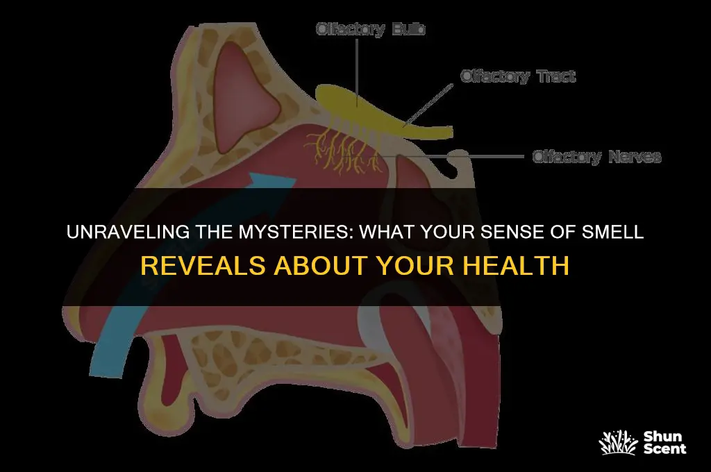 what does smelling scents mean medically