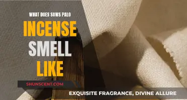 The Sweet, Woody Aroma of Sows Palo Incense