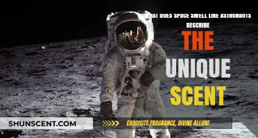Unveiling the Cosmic Fragrance: Astronauts Share What Space Smells Like