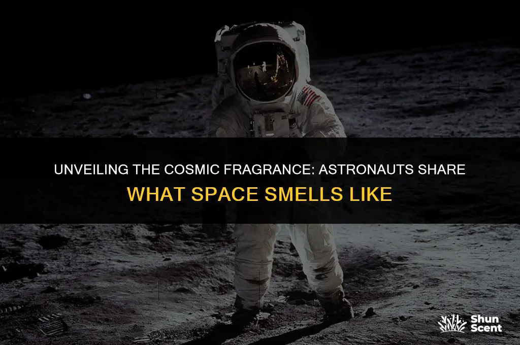 what does space smell like astronauts describe the unique scent