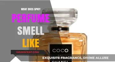 The Spice Trail: Scents of Adventure