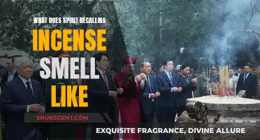 The Sweet Smell of Spirit Recalling Incense