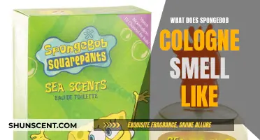 The Mystery of Spongebob's Cologne: Unveiling the Scent