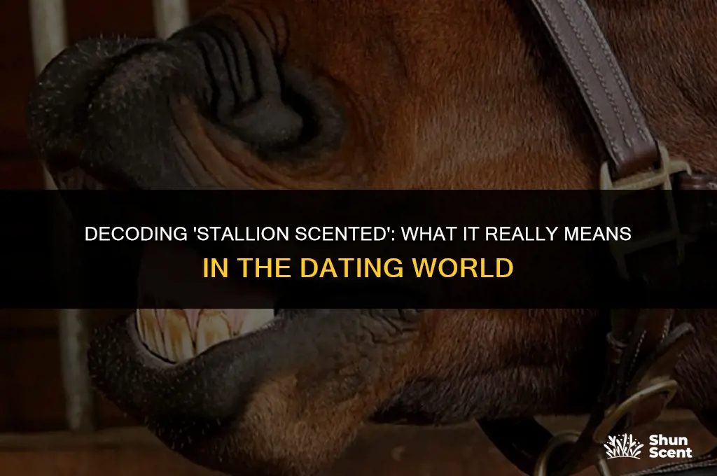 what does stallion scented mean sexy girls