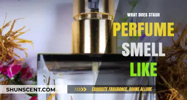Stash Perfume: Woody, Aromatic, and Spicy