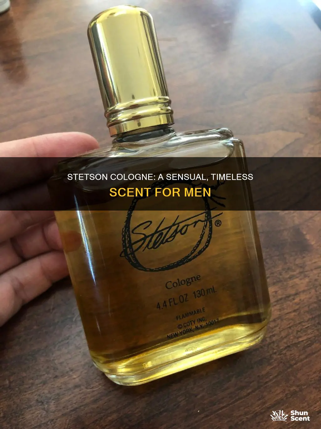 what does stetson cologne smell like