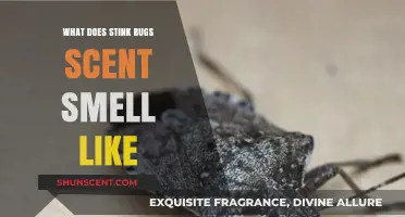 Unveiling the Mysterious Scent of Stink Bugs: A Comprehensive Guide