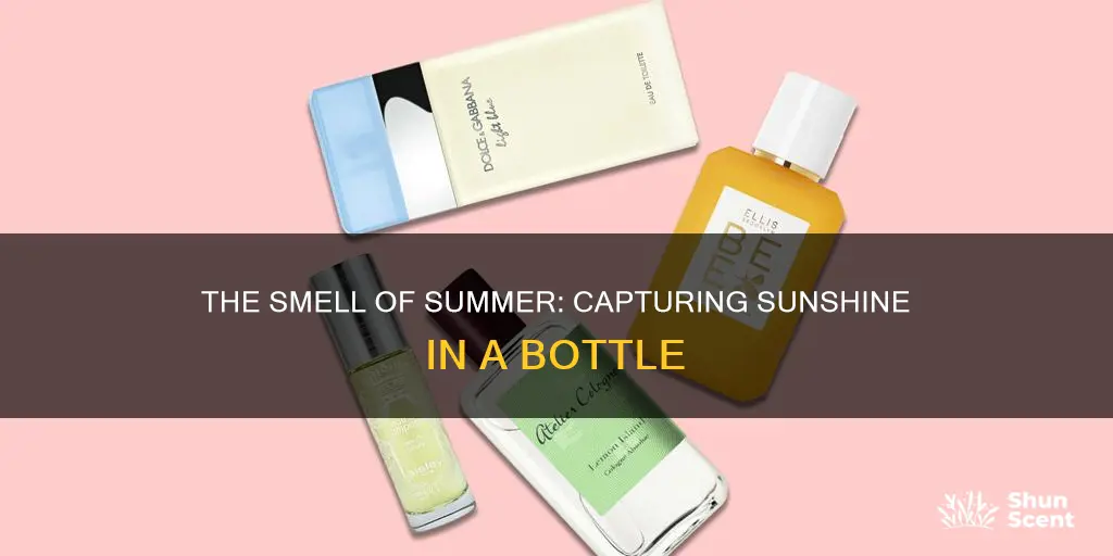 what does summertime perfume smell like