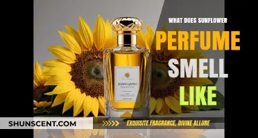 Sunflower Scents: Sweet, Warm, and Inviting