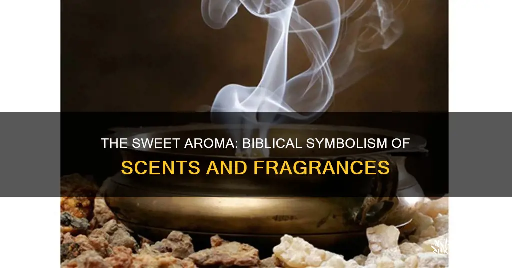 what does sweet aroma mean in the bible