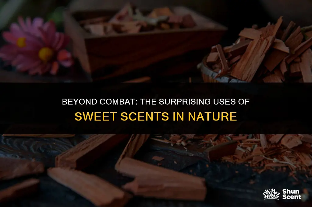 what does sweet scent do outside of battle