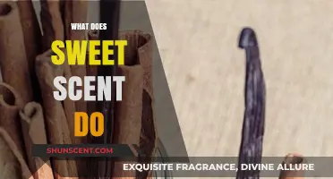 Unveiling the Enchantment: How Sweet Scents Influence Our Lives