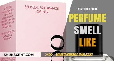 The Alluring Scent of Taboo Perfume: A Review