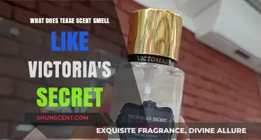 Unveiling the Alluring Aroma of Victoria's Secret Tease: A Scent Breakdown