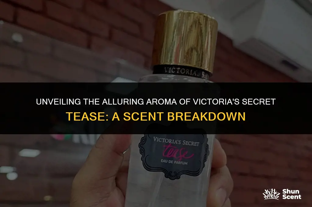 what does tease scent smell like victoria