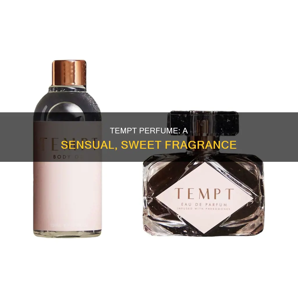 what does tempt perfume smell like