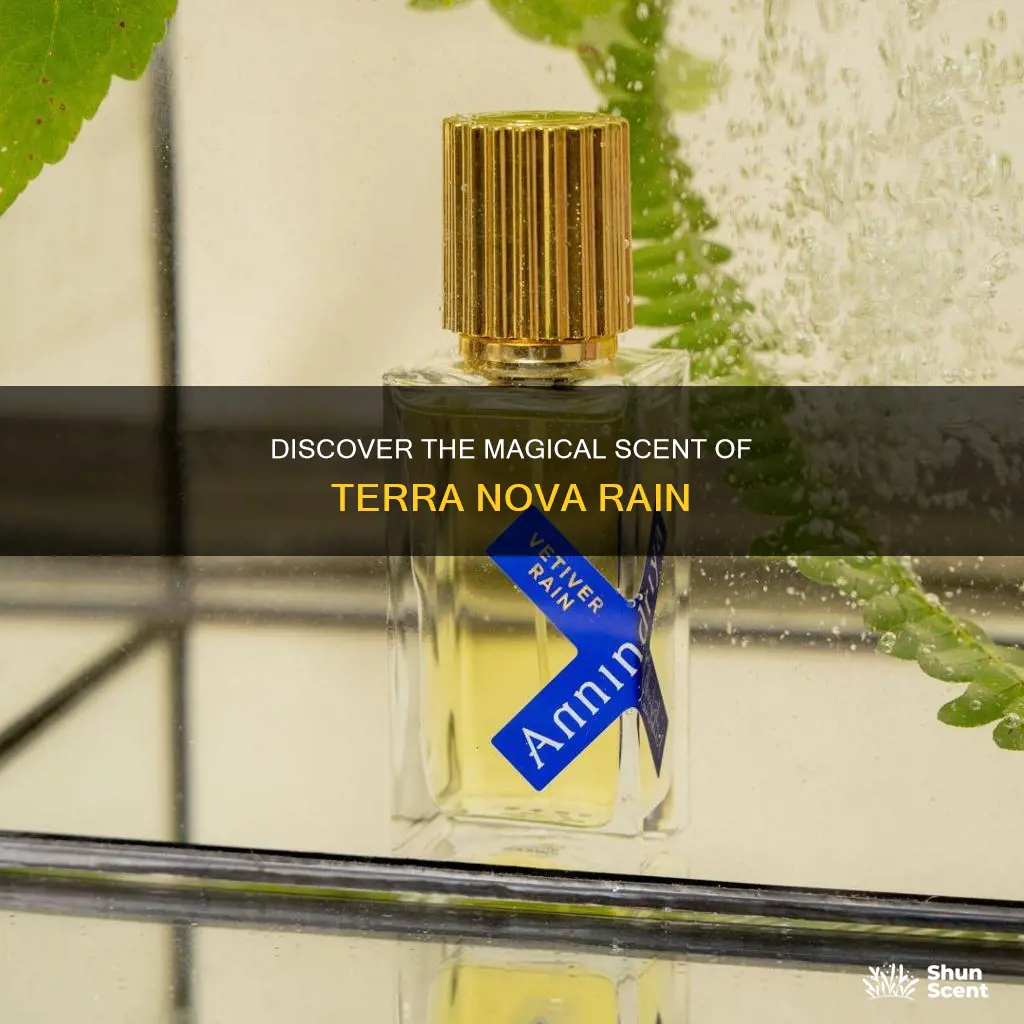 what does terra nova rain perfume smell like